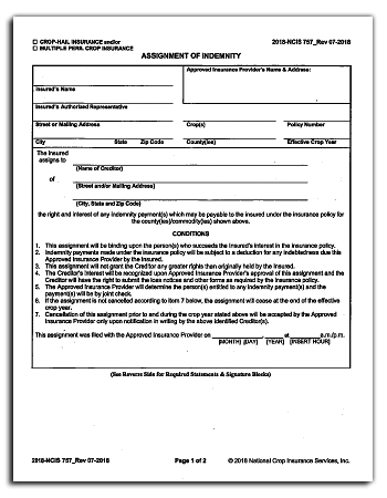 Assignment of Indemnity
