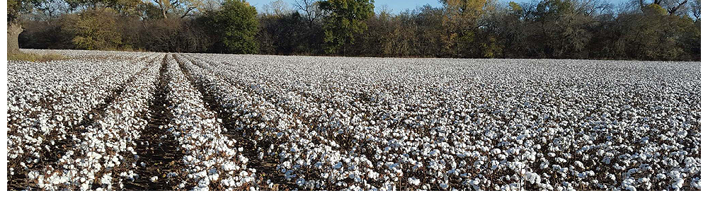 Crop Insurance Goltry and Piedmont Oklahoma